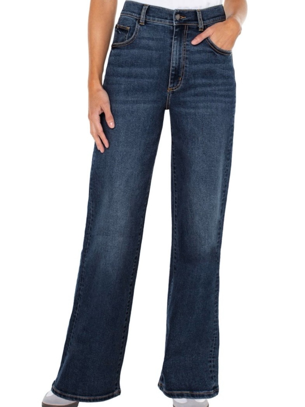 Well Worn Indigo Wide Leg High-Rise Jeans